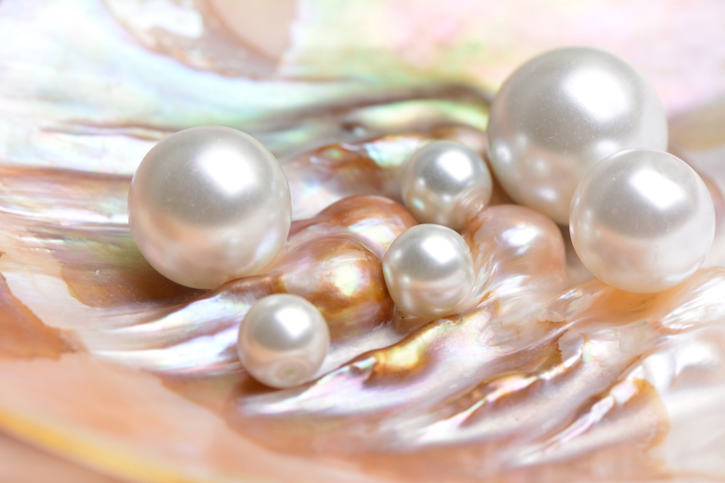 Cultured Pearls Being Formed