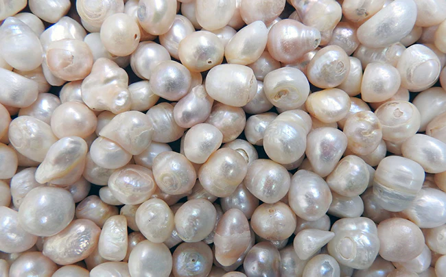 freshwater pearls